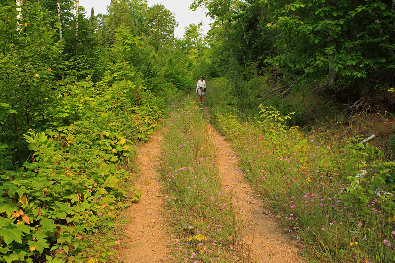 the overgrown two track trail